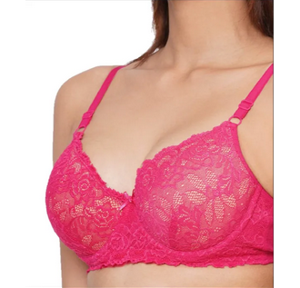 Export Quality Net Bra for Women - Stylish and Comfortable Body-Fitting Bra
