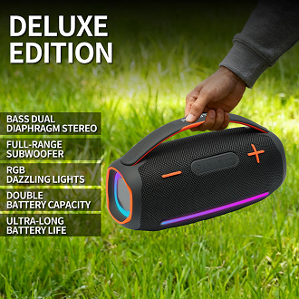 P PRO10 30W Portable Bluetooth Speaker with FM/USB/TF Support